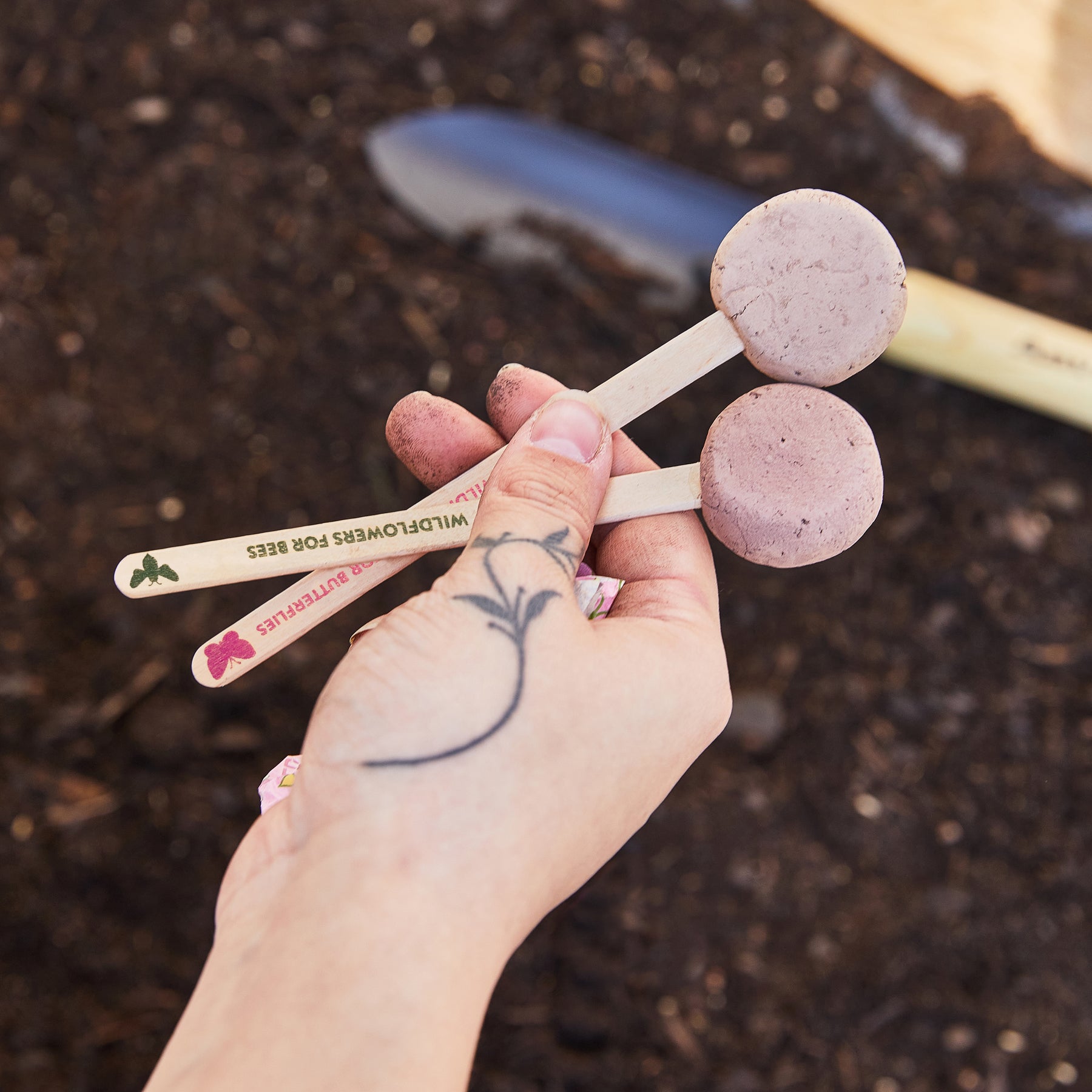 Hand holding two Seed Pops labeled "Pollinator" above dark soil, ready for planting in a garden.