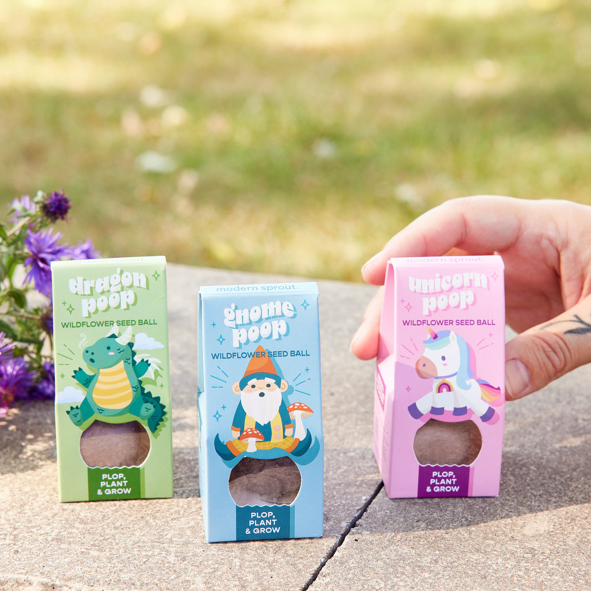 Colorful seed ball packaging featuring whimsical characters: a dragon, gnome, and unicorn, promoting wildflower growth.