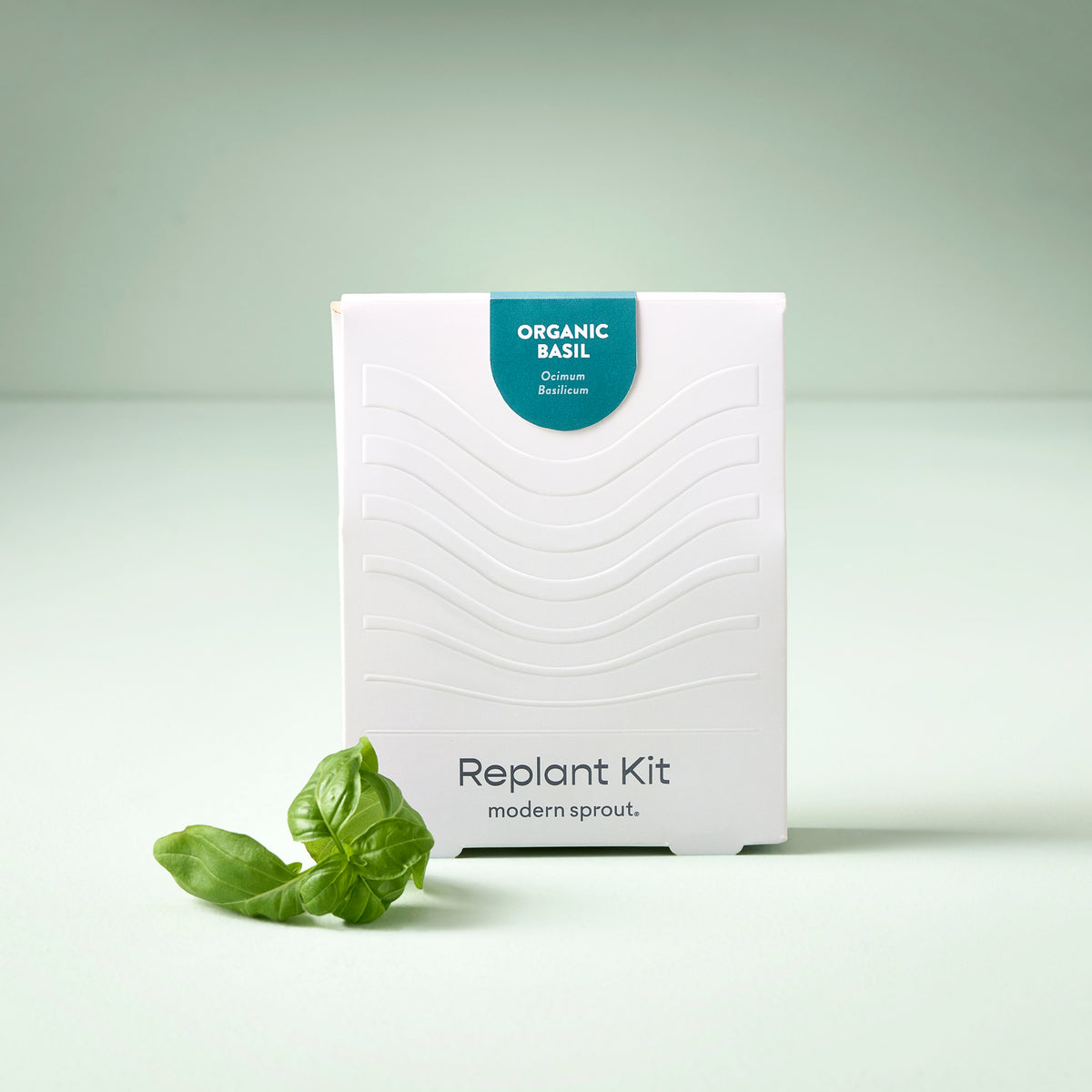 White packaging of the Immersion Hydroponic Replant Kit for organic basil, featuring a fresh basil leaf in front.