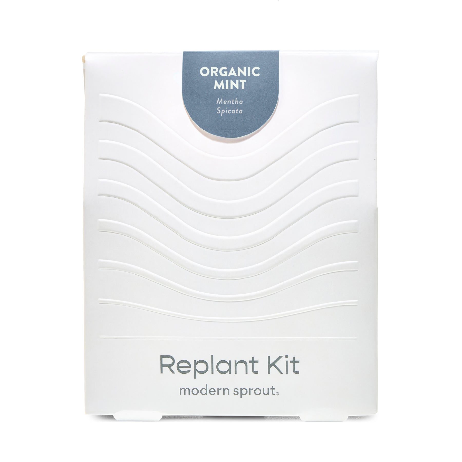 White packaging of the Immersion Hydroponic Replant Kit featuring organic mint, labeled with the plant name and brand.