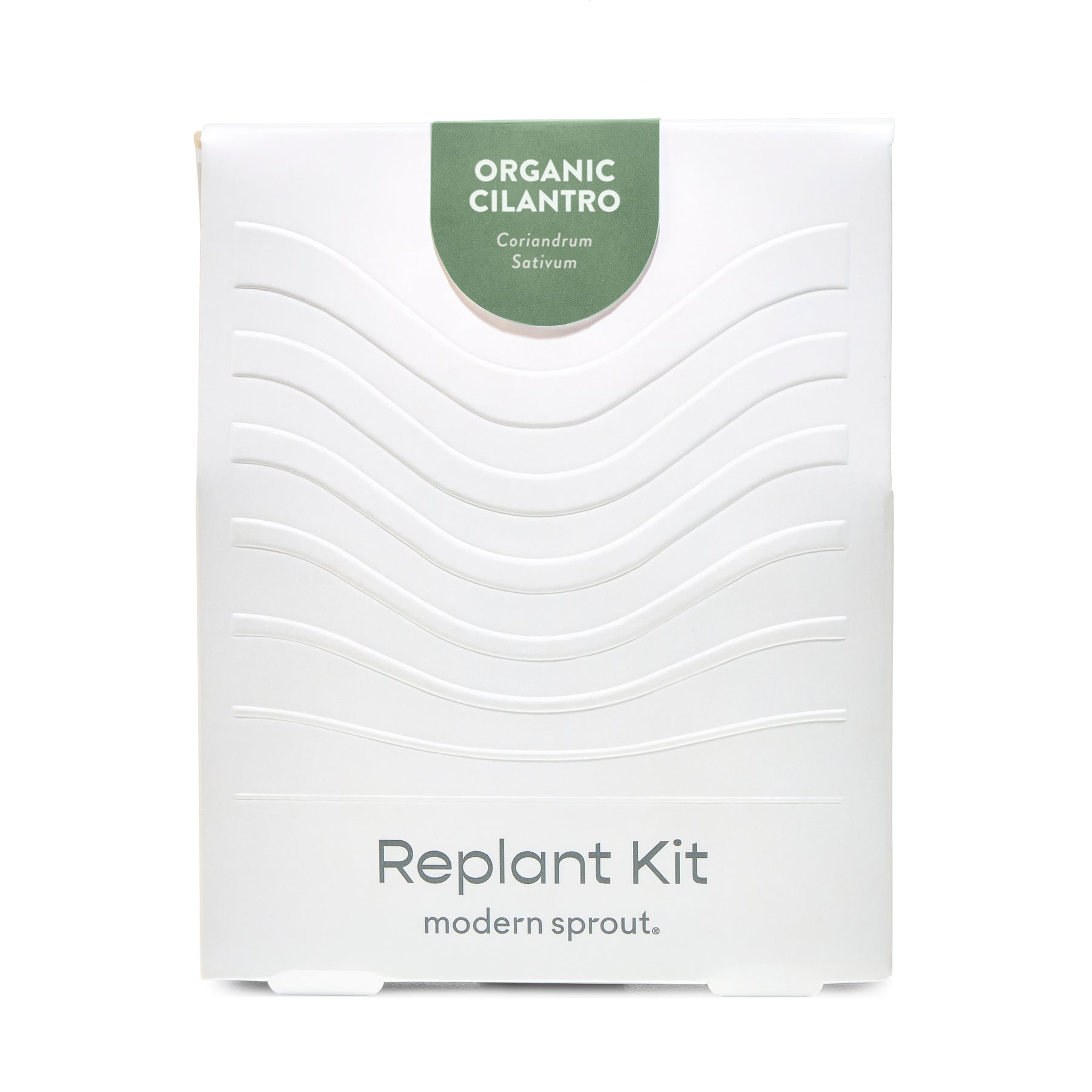 White packaging of the Immersion Hydroponic Replant Kit featuring organic cilantro, labeled with plant name and brand.