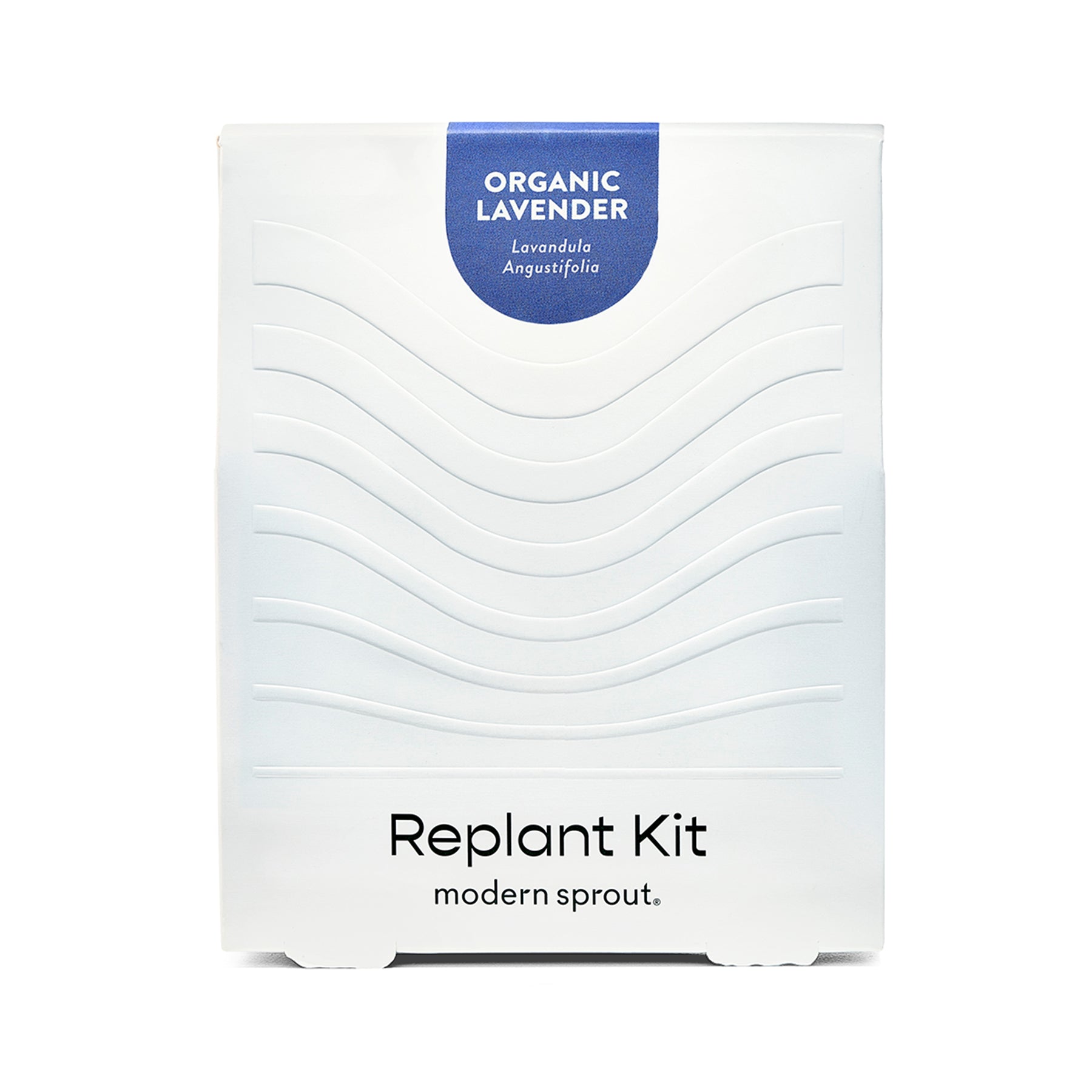 Organic lavender replant kit packaging featuring a sleek design with wavy lines and the Modern Sprout logo.