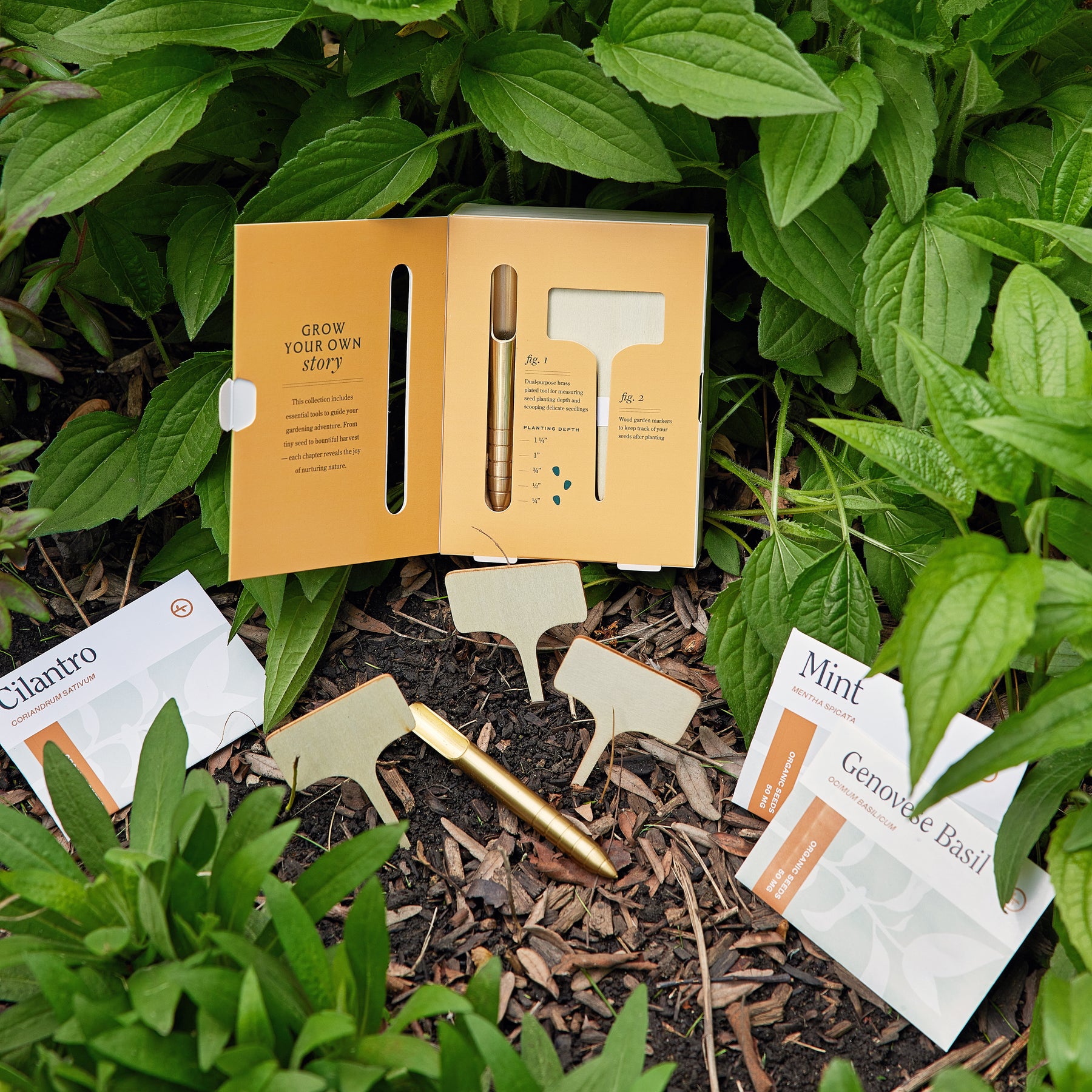 Seed library kit displayed on soil among green plants, featuring seed packets for cilantro, mint, and basil, along with planting tools.