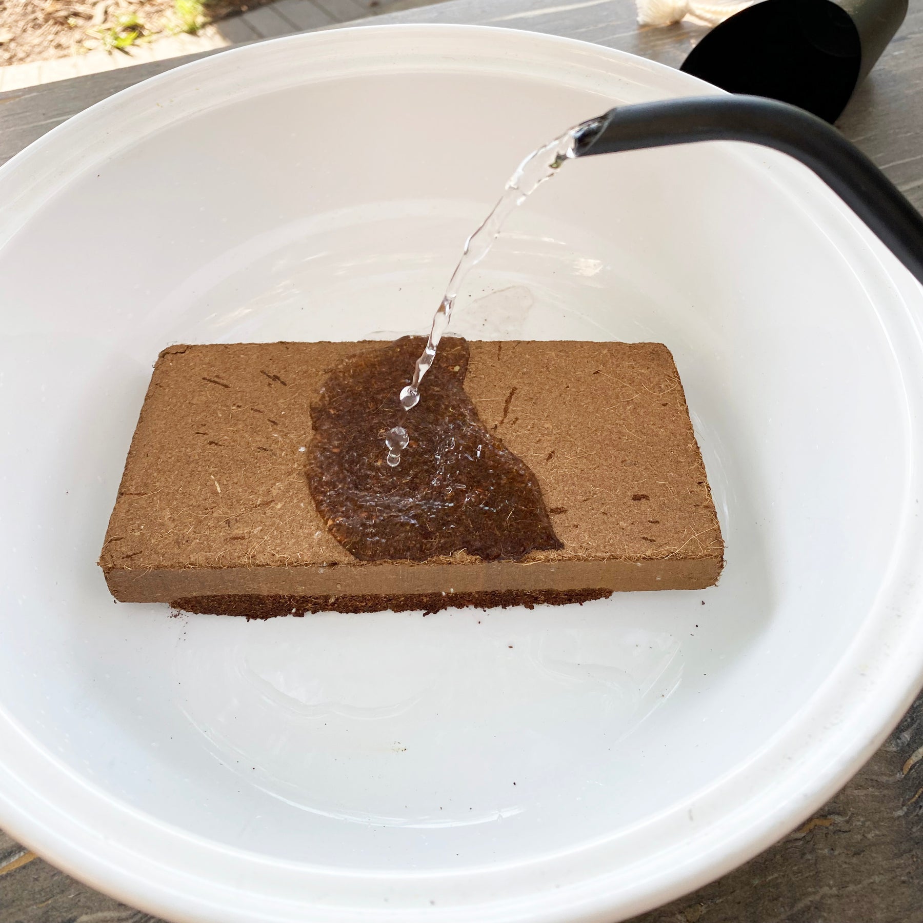 Coco Coir Grow Medium, 6-pack