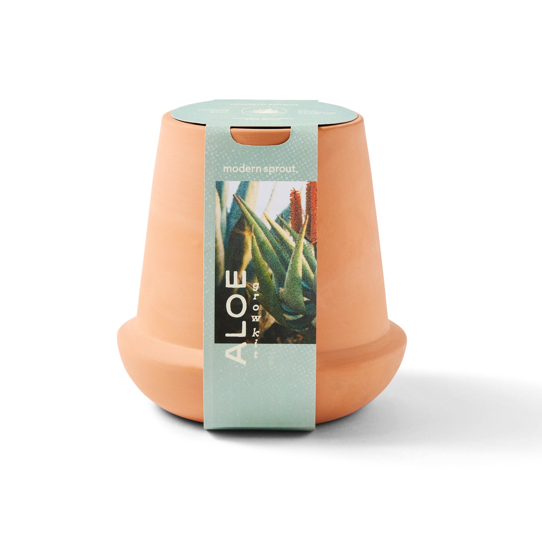 Modern Terracotta Grow Kits