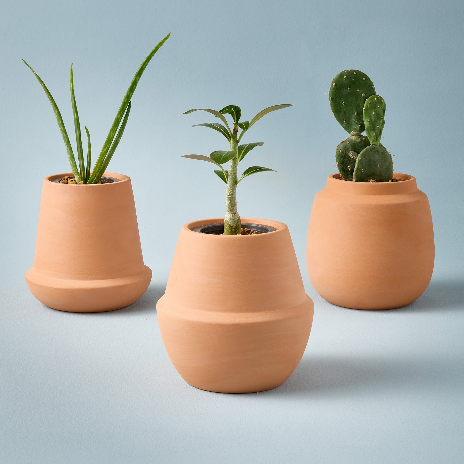 Modern Terracotta Grow Kits