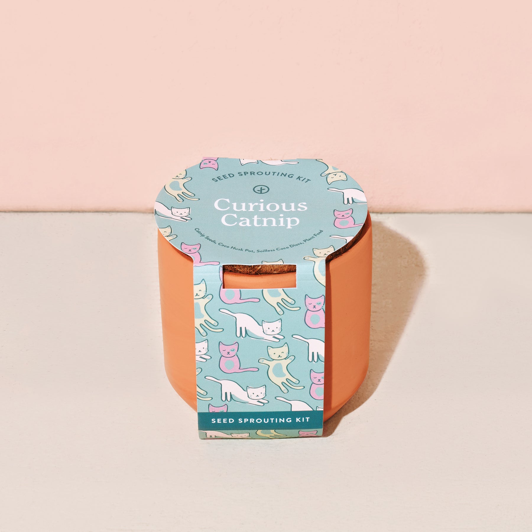 Tiny terracotta grow kit for catnip, featuring a playful cat-themed design on the packaging. Ideal for pet lovers.
