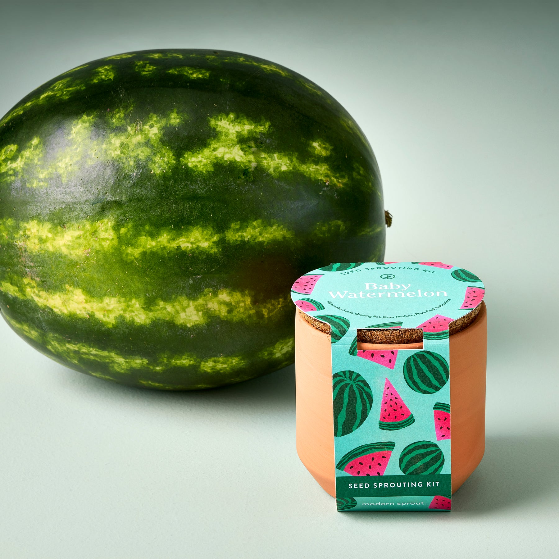 Tiny Terracotta Garden Kit featuring a Baby Watermelon seed sprouting kit next to a whole watermelon on a light background.