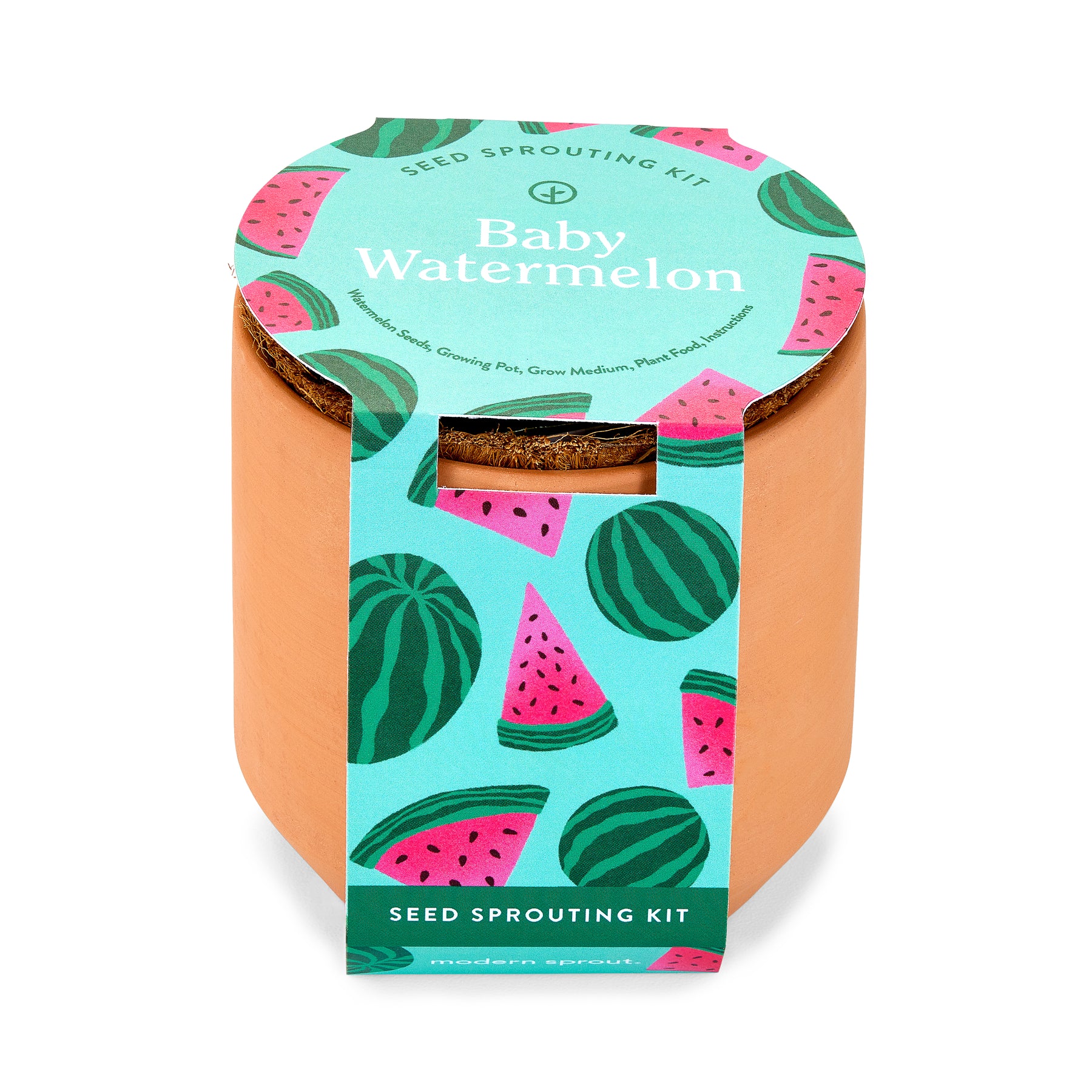 Tiny terracotta garden kit for growing baby watermelon, featuring vibrant watermelon-themed packaging and seed sprouting instructions.