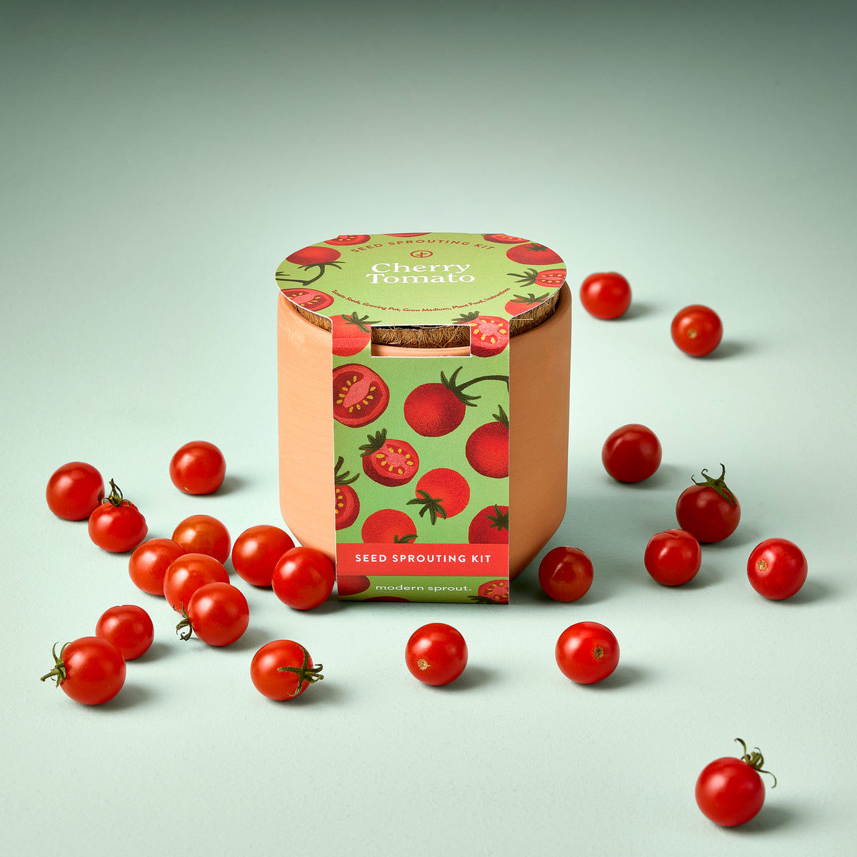 Tiny terracotta garden kit for cherry tomatoes, featuring a decorative container and fresh tomatoes scattered around.