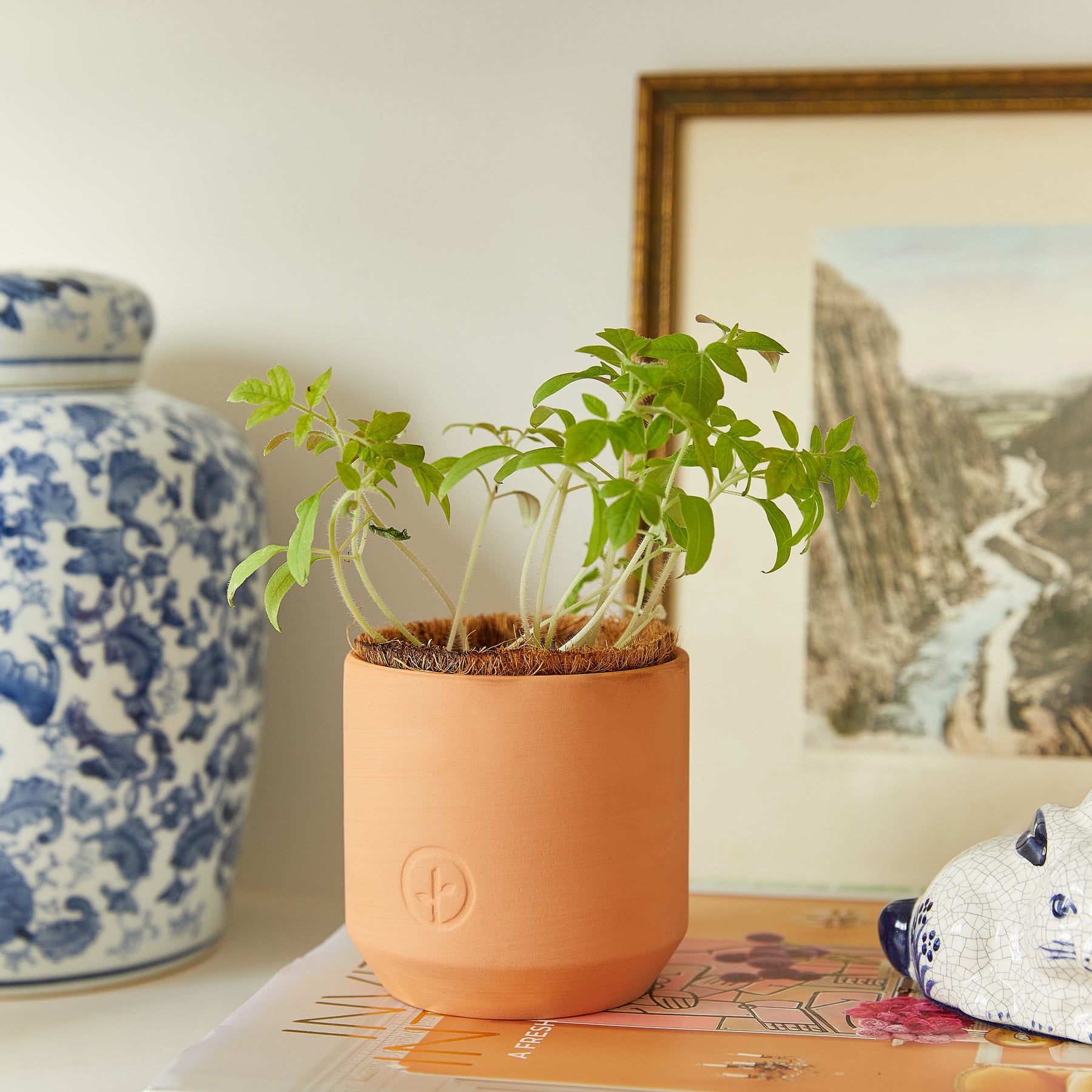Tiny terracotta garden kit featuring a small plant in a minimalist pot, set against a decorative background.