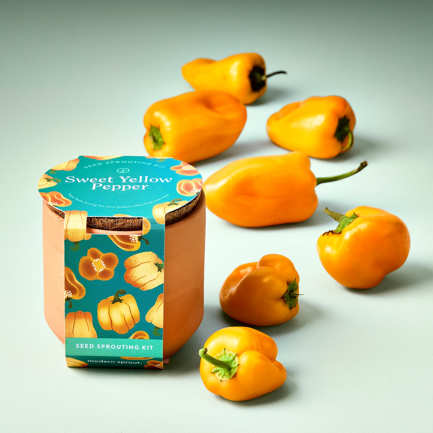 Tiny Terracotta Garden Kit featuring a Sweet Yellow Pepper seed sprouting kit with vibrant yellow peppers scattered around.