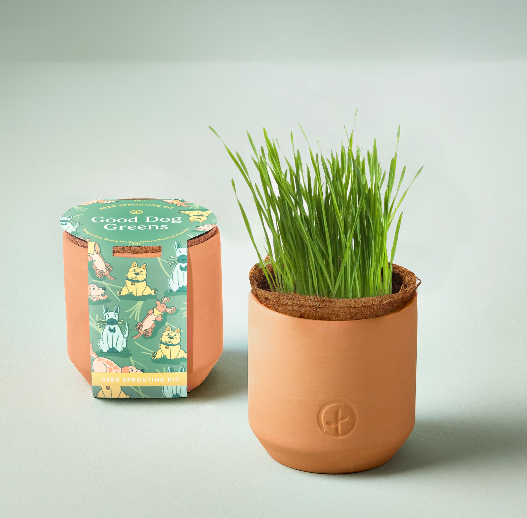 Tiny terracotta grow kit for pets featuring a sprouting grass plant in a round pot, ideal for indoor pet care.