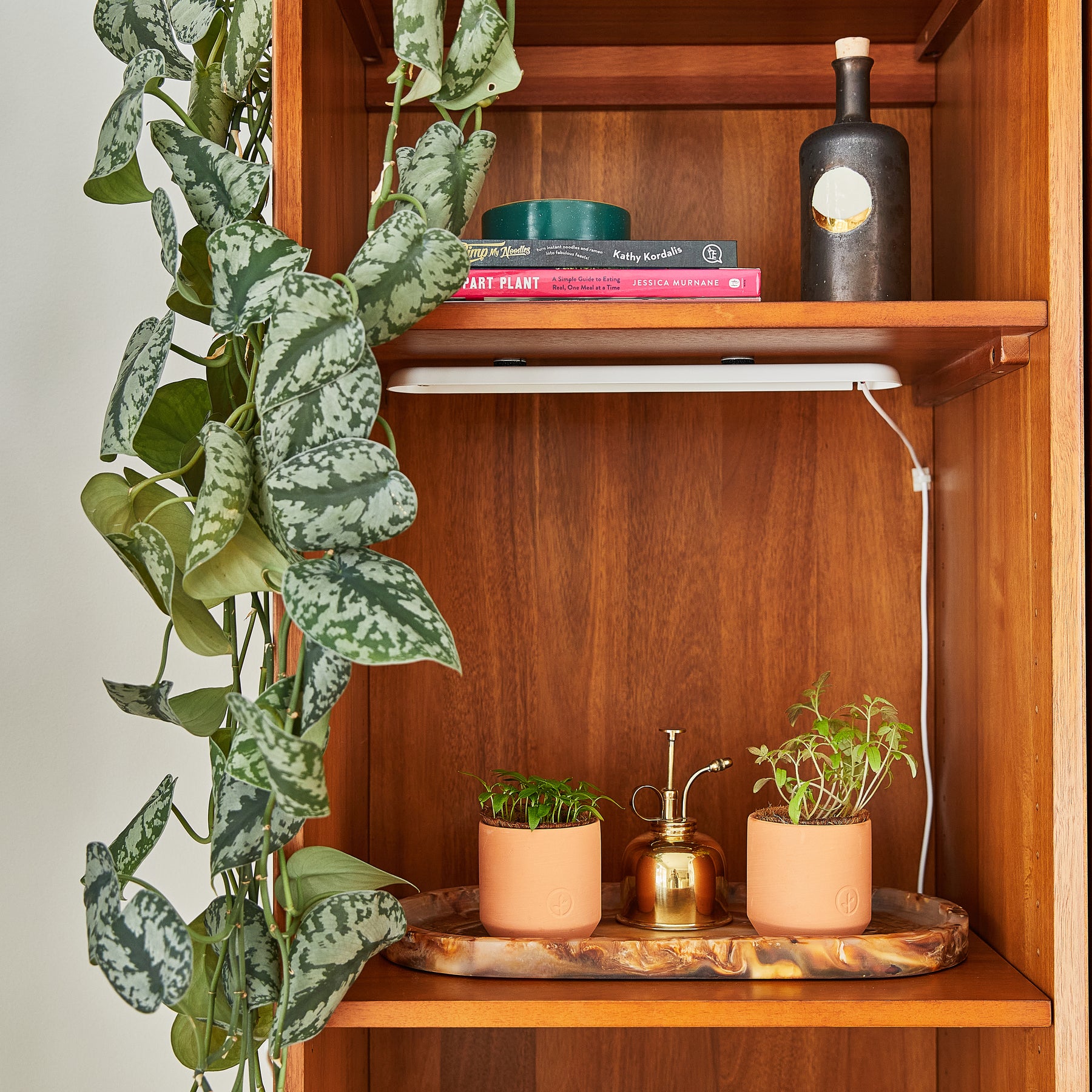 Tiny terracotta garden kits displayed on a wooden shelf, featuring small plants in pots and a brass watering can.