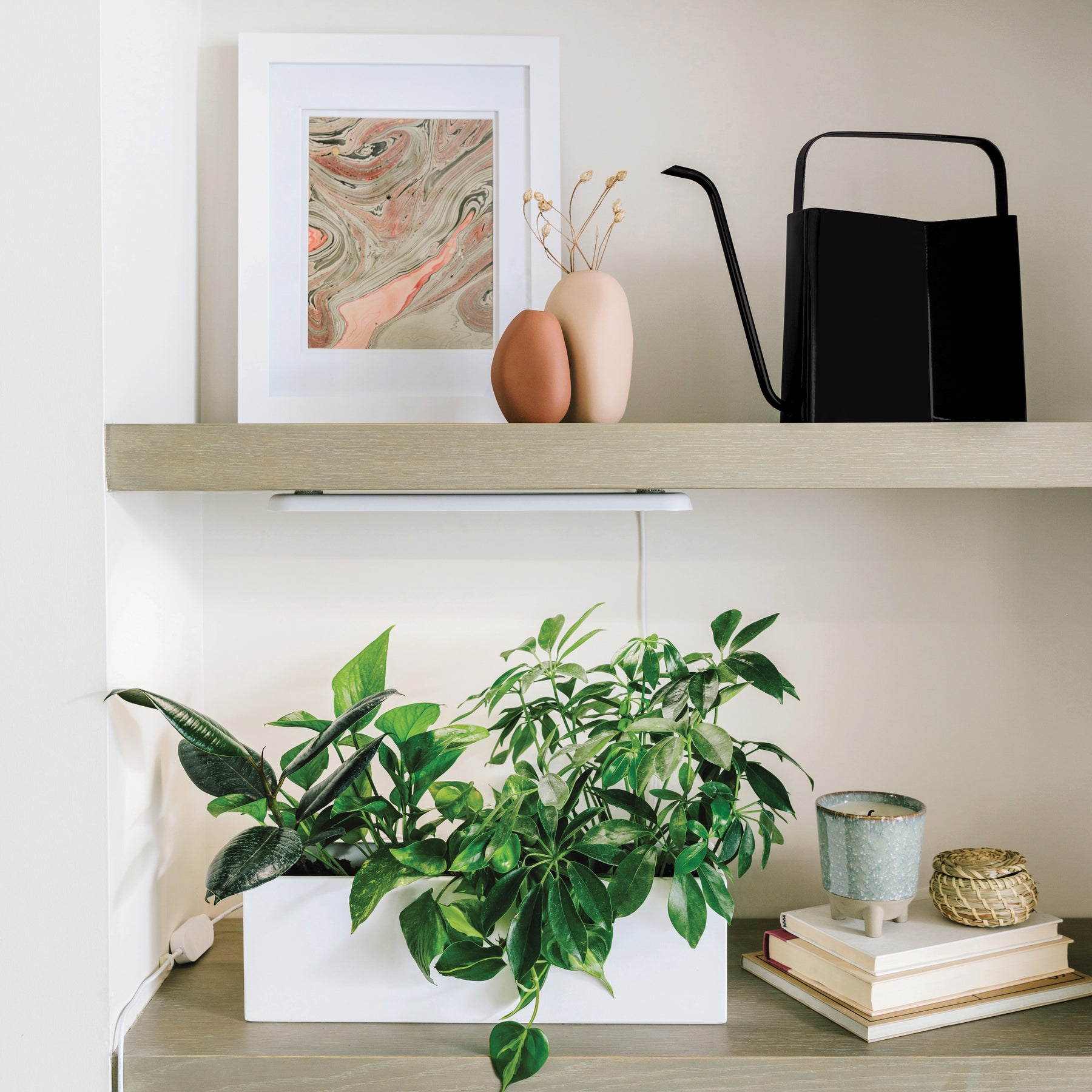 A sleek black watering can sits on a shelf next to a decorative vase, framed art, and a lush green plant.