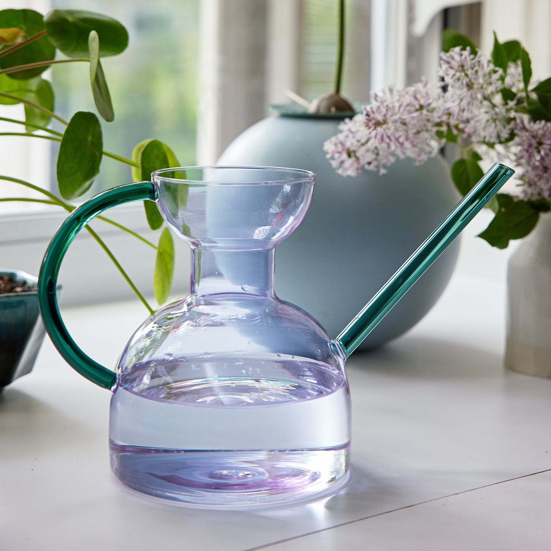 Elegant glass watering can with a curved handle and spout, filled with water, surrounded by indoor plants.