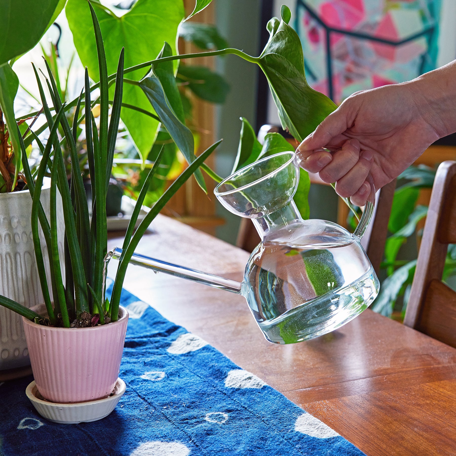 Clear glass watering can being used to water a potted plant on a wooden table, surrounded by greenery.