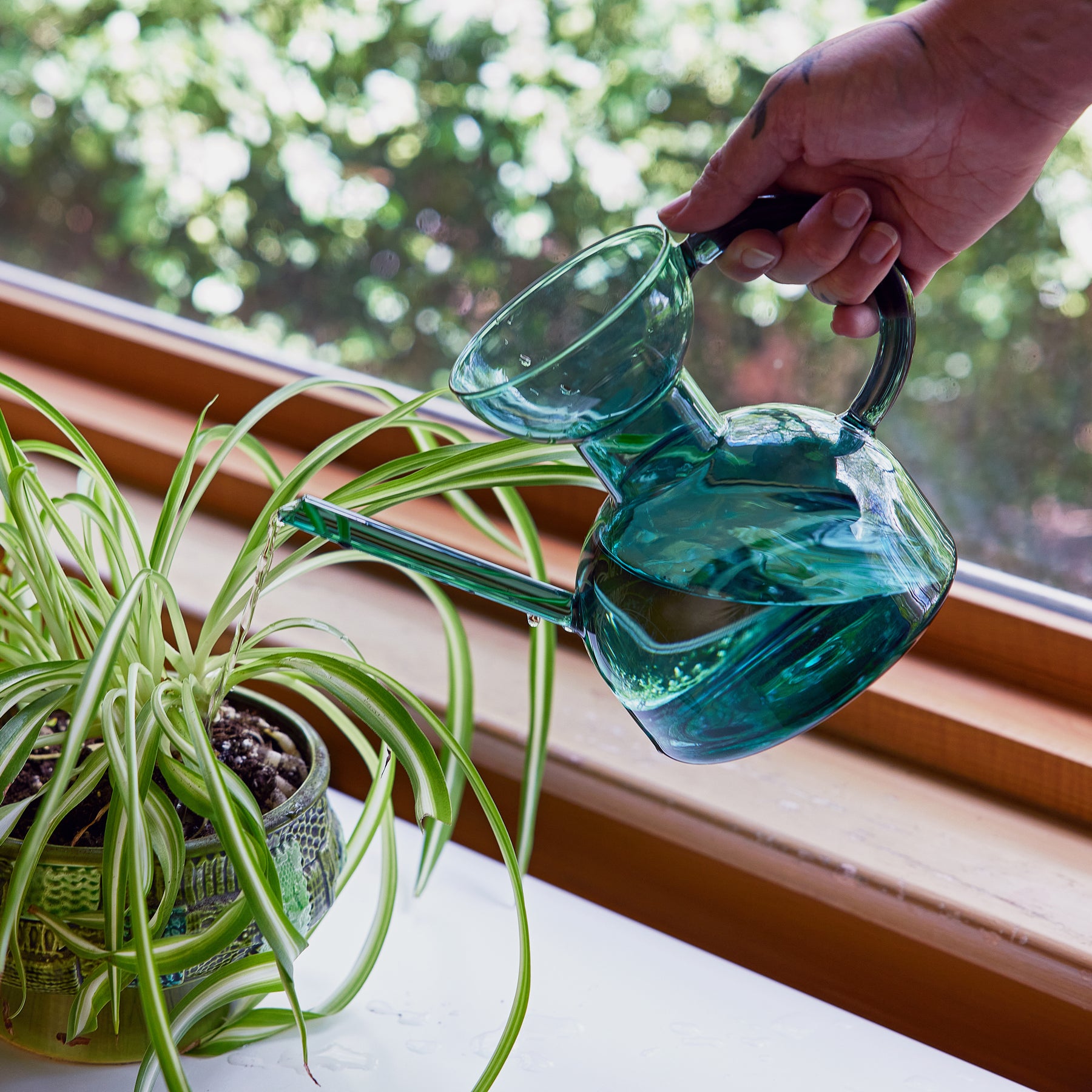 A hand holds a teal glass watering can, pouring water onto a potted plant near a window.
