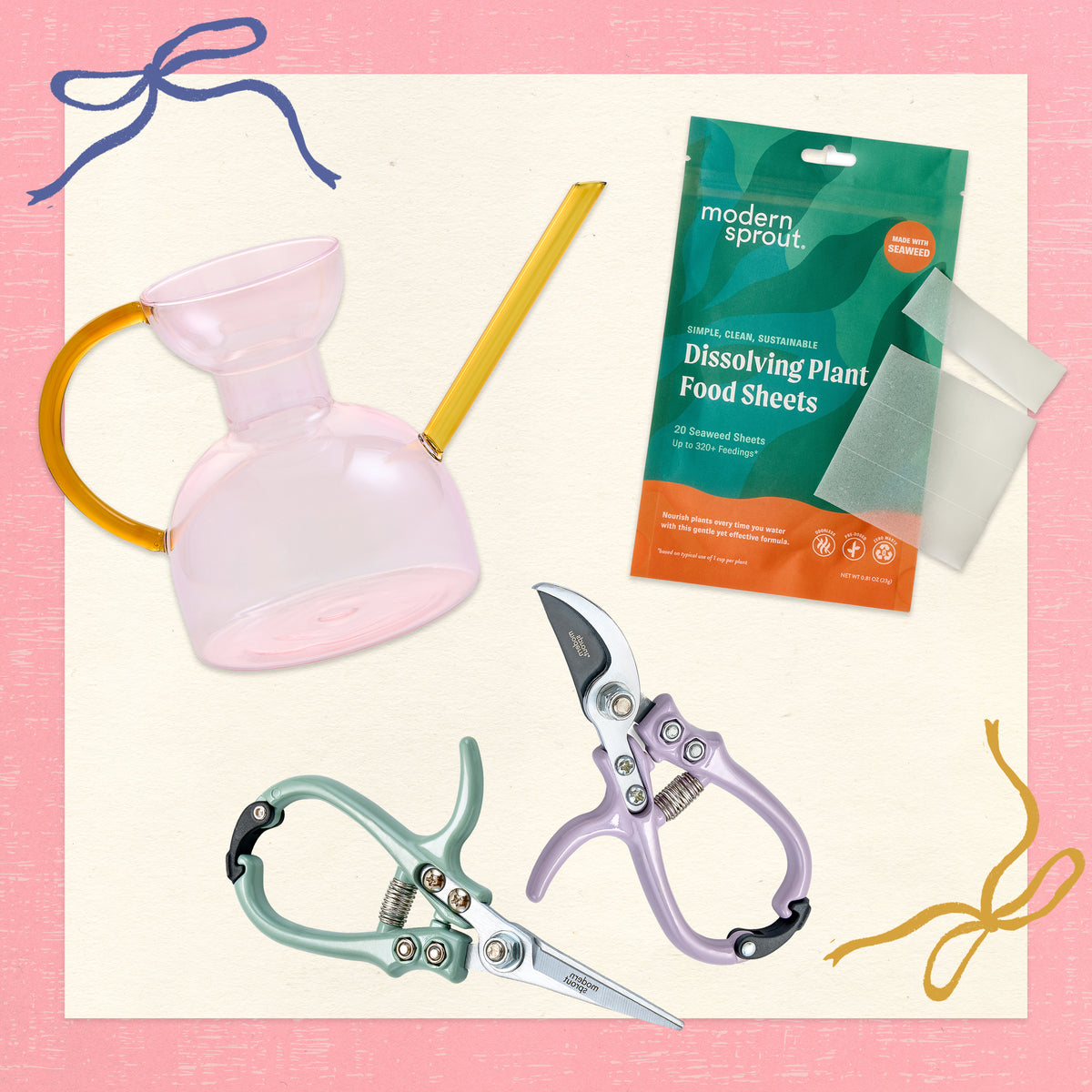 Plant Care Routine Glow Up Bundle