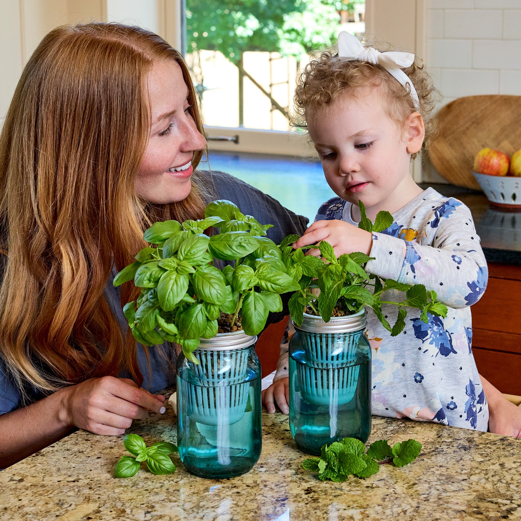 A woman and a child tend to basil and mint plants in mason jar grow kits on a kitchen countertop.
