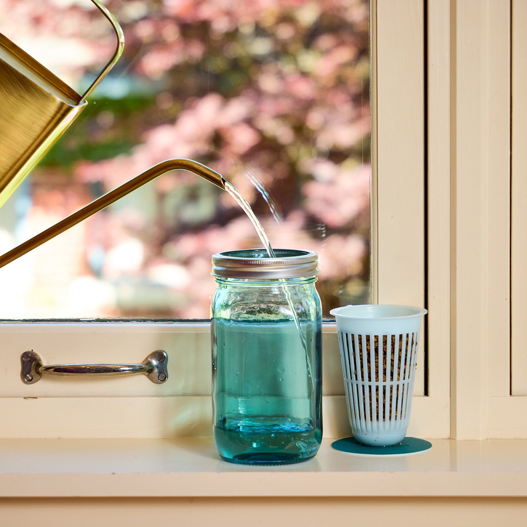Mason jar grow kits with a watering can pouring water into a jar, featuring a plant holder beside it on a windowsill.