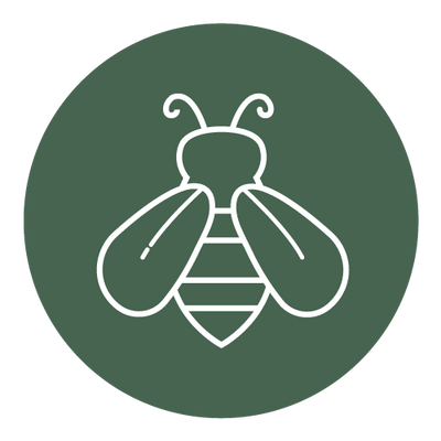 Logo of a stylized bee in white on a dark green circular background.