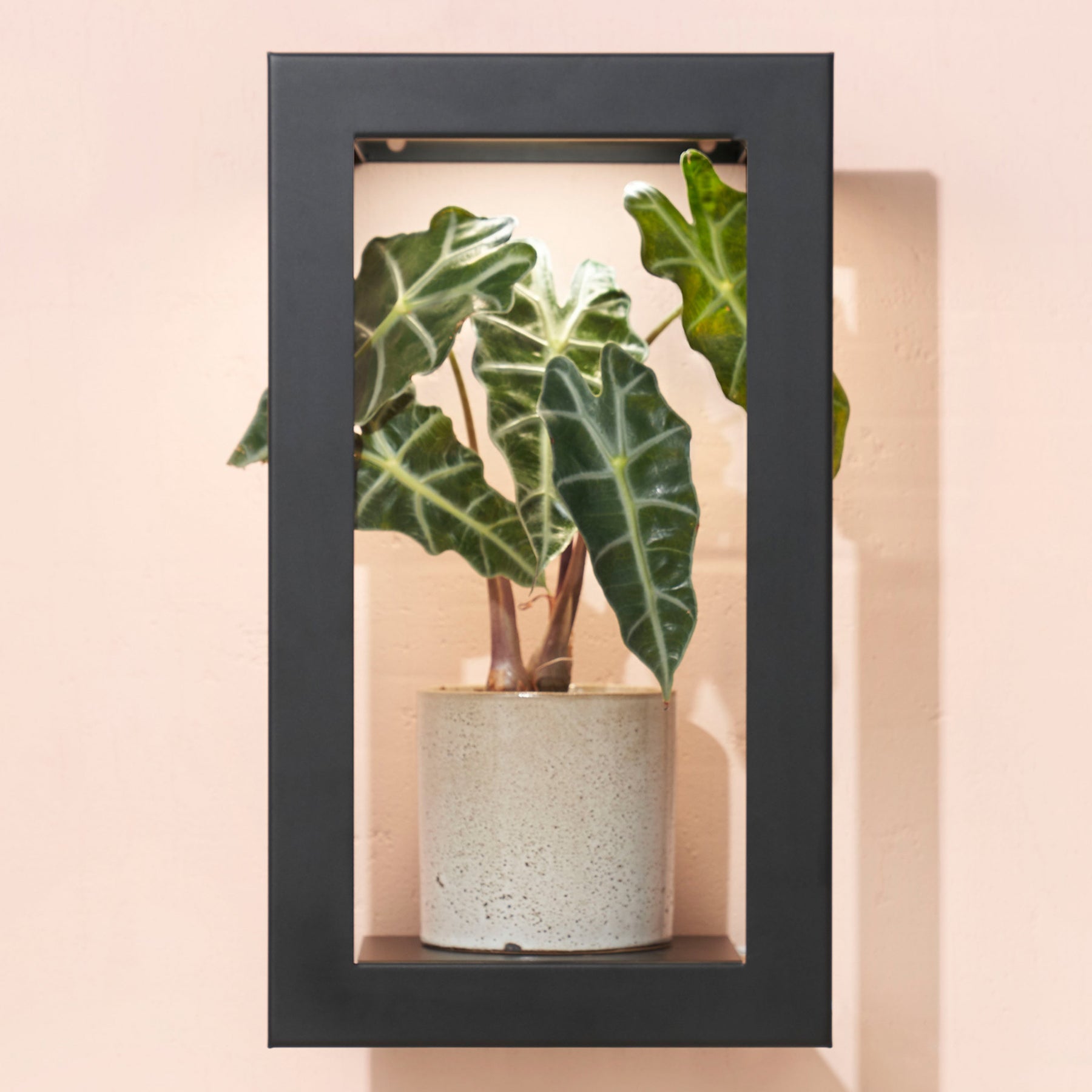 Refurb Smart Portrait Growframe