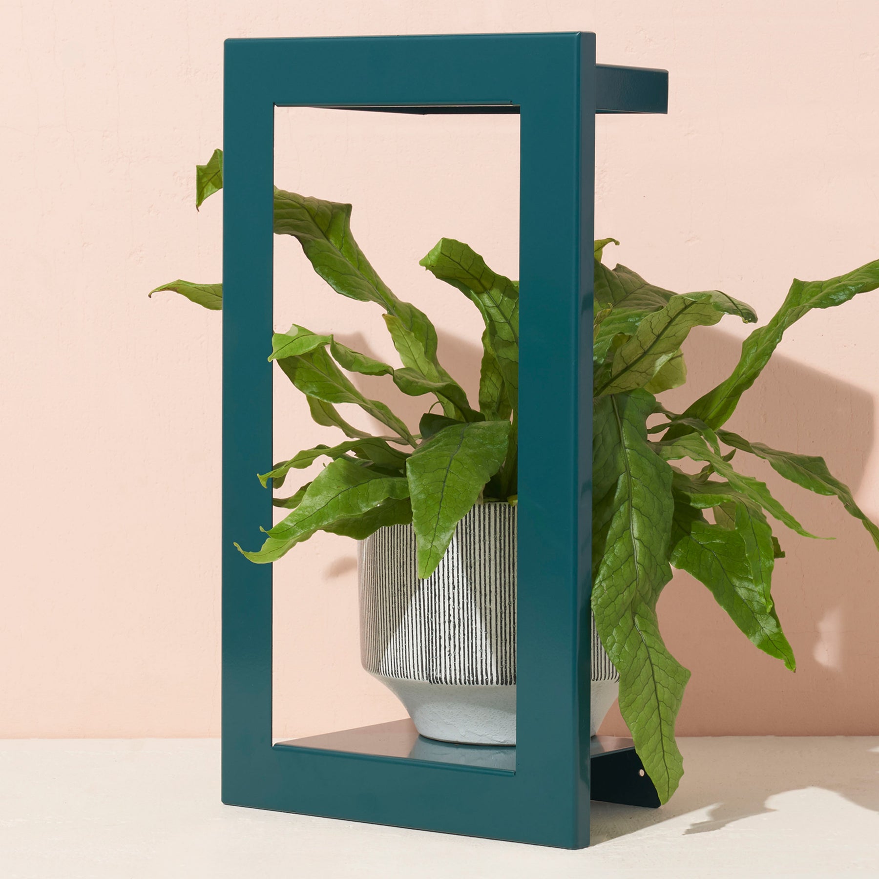 Refurb Smart Portrait Growframe