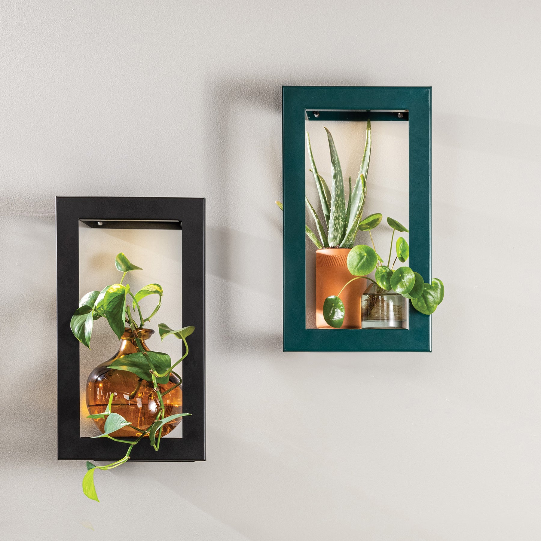 Refurb Smart Portrait Growframe