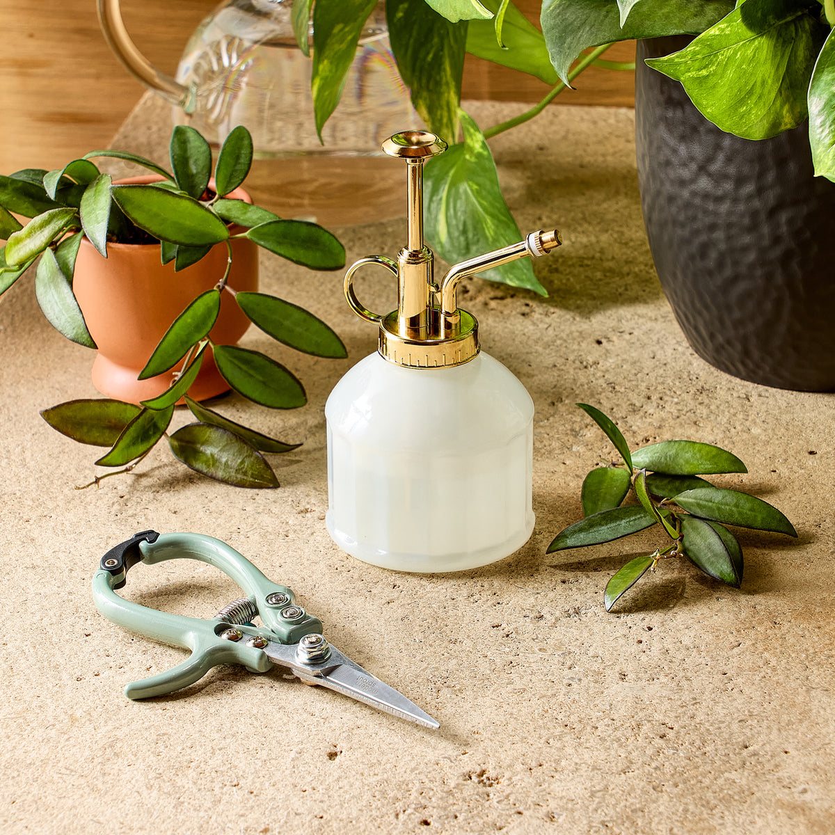 Seconds: Gardening Shears & Mister Set