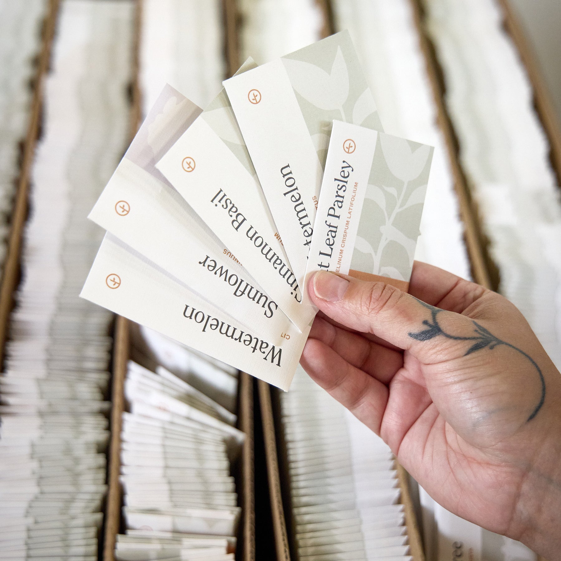 Assorted Seed Packet Collections