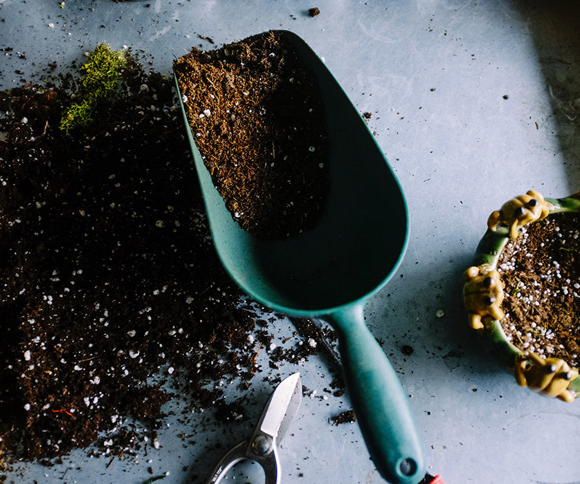 Green gardening trowel on a table with soil, surrounded by plants and pruning shears.