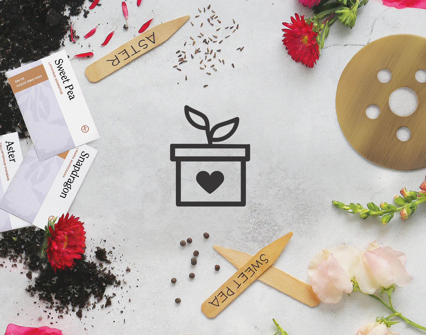 Hydroponic kit elements with seed packets, plant markers, and colorful flowers on a white surface.