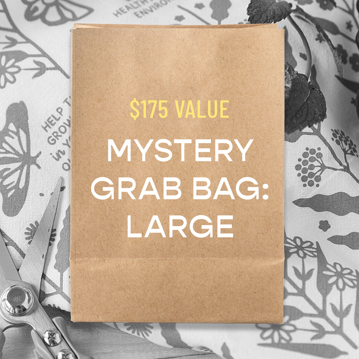 Mystery Grab Bag - Large