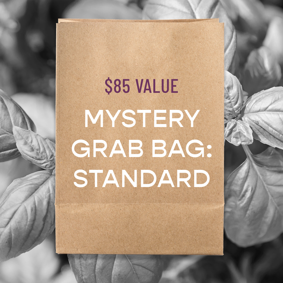 Mystery Grab Bag - Standard