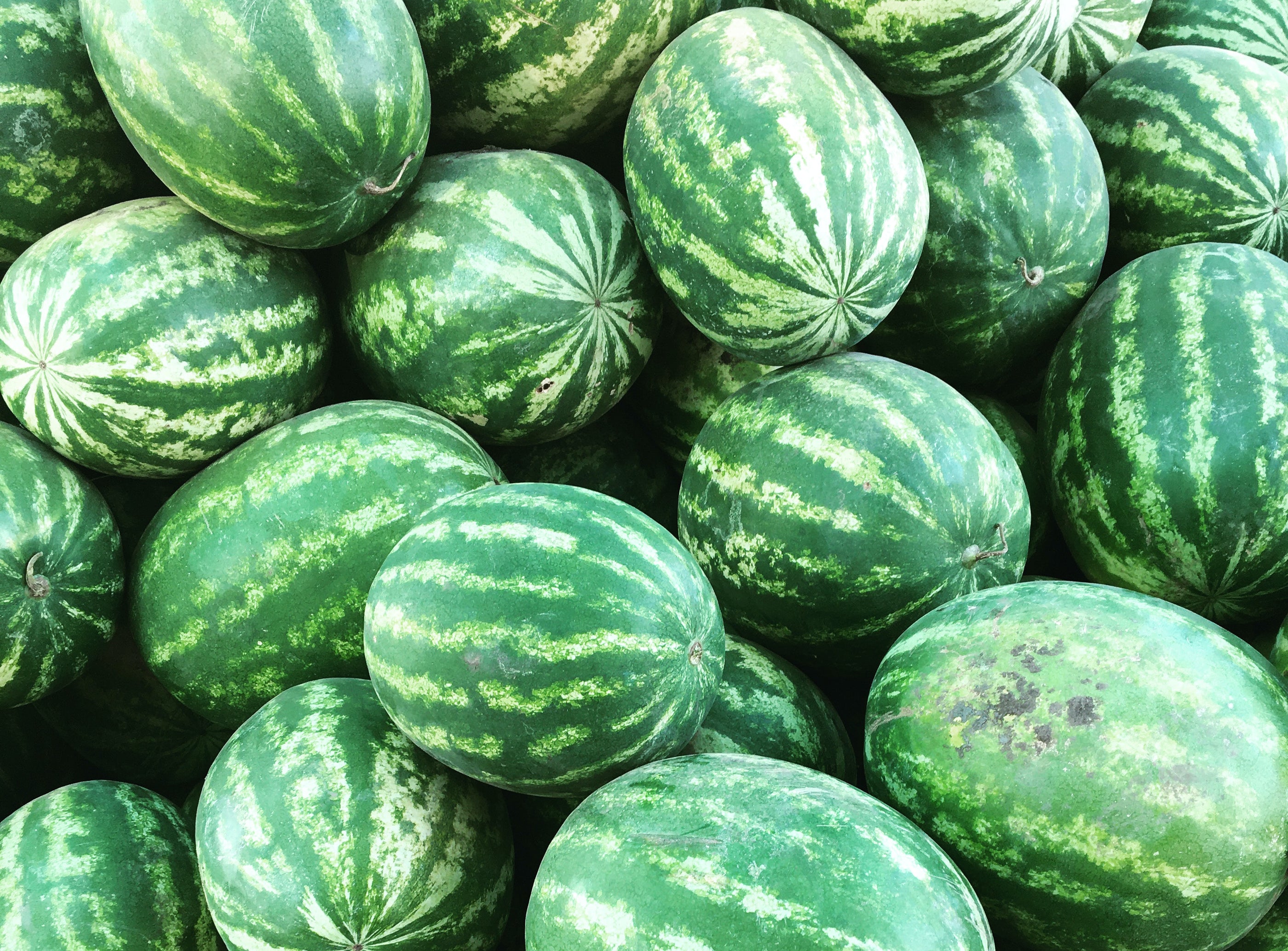 Close-up of ripe green watermelons with dark green stripes, perfect for indoor hydroponic growing kits and garden accessor...