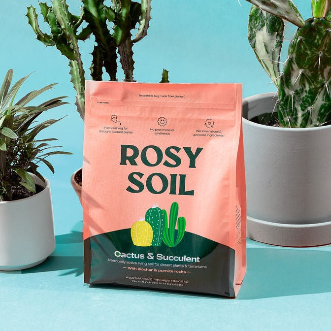 Cactus and succulent grow medium in a pink bag labeled "Rosy Soil" with potted plants in the background.