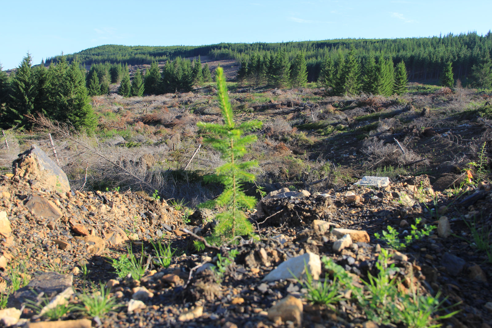 I'm sorry, but it seems there's been a mix-up. The image you described does not match the one provided. The image shows a ...