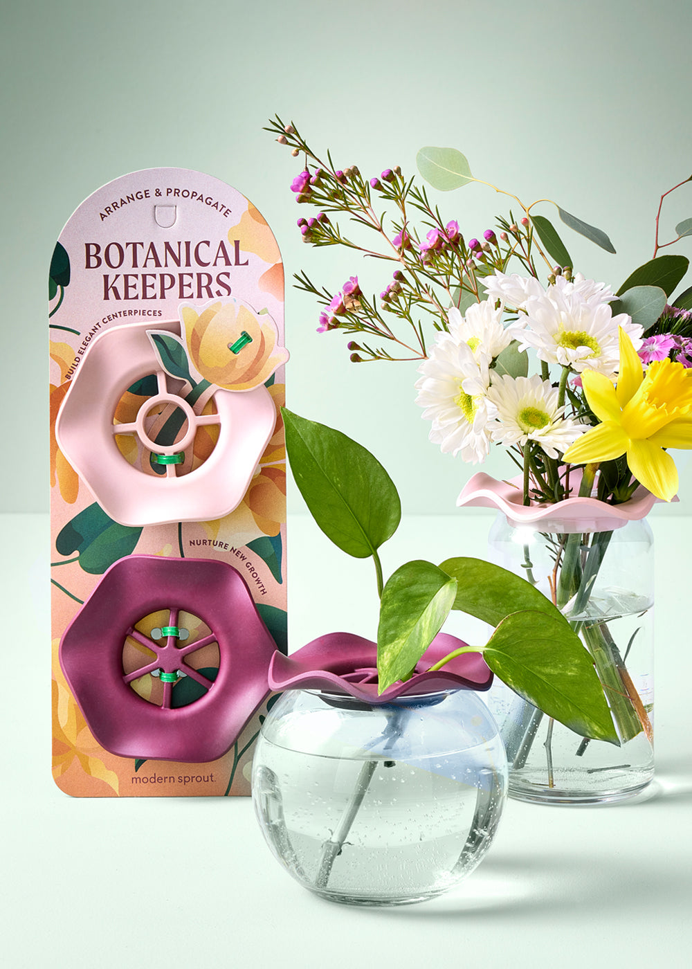 Pink silicone plant holders in a decorative box, designed for arranging indoor flowers and herbs in water.