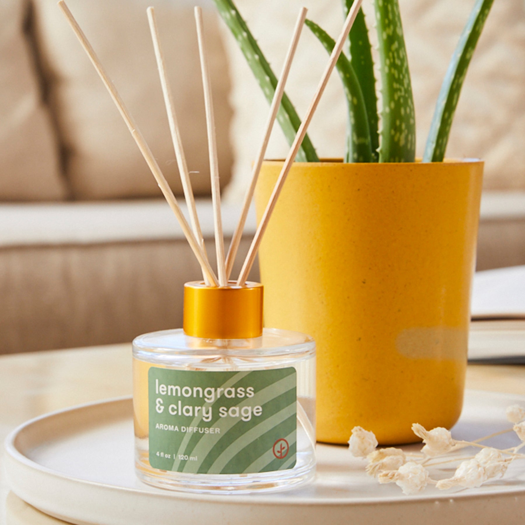Aroma diffuser with lemongrass and clary sage scent, featuring reed sticks, placed beside a yellow planter with aloe.