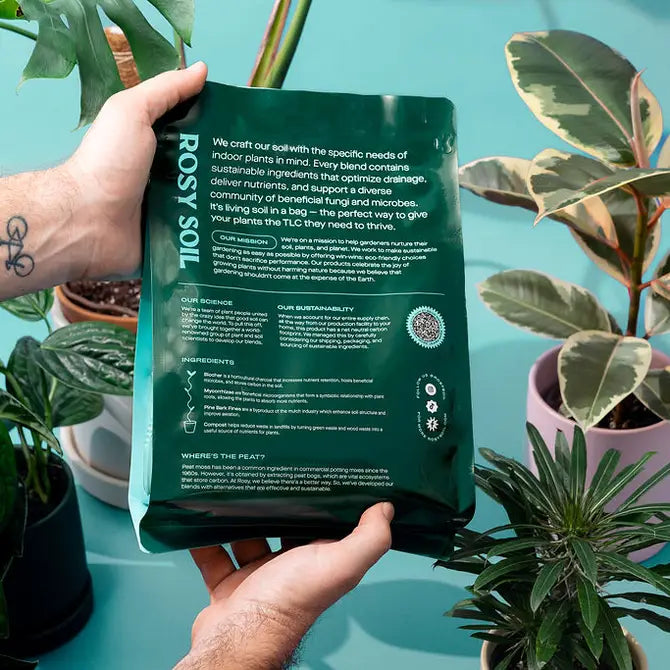 A person holding a bag of houseplant soil, surrounded by various indoor plants on a teal surface.