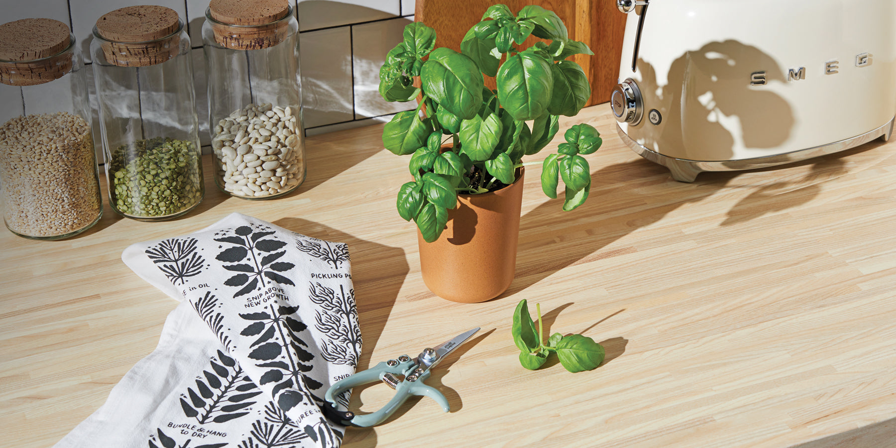 A vibrant basil plant in a terracotta pot, scissors, and a patterned towel on a wooden countertop with jars of seeds.
