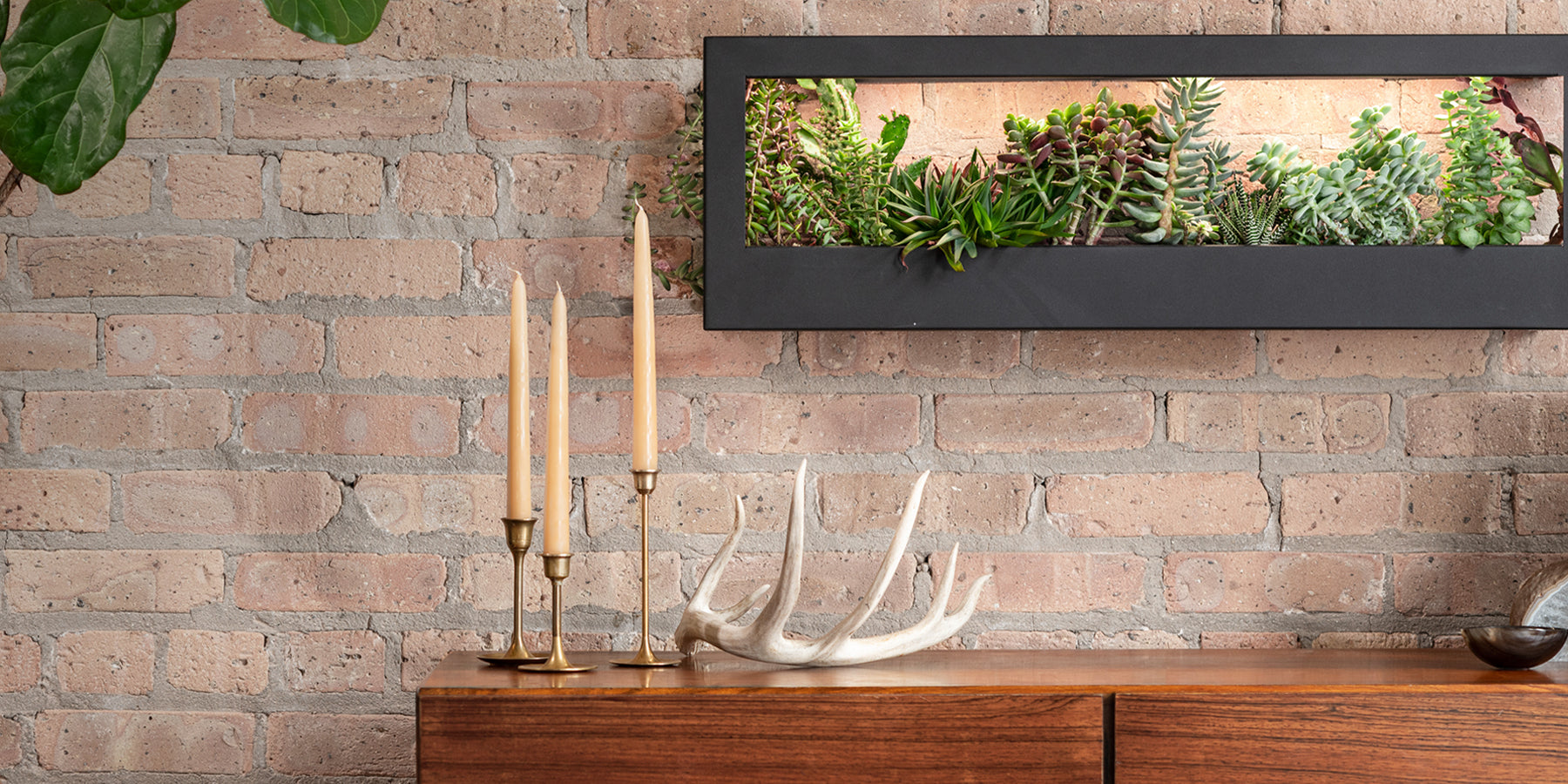 Stylish indoor garden system with vibrant succulents, framed in black, displayed against a rustic brick wall.