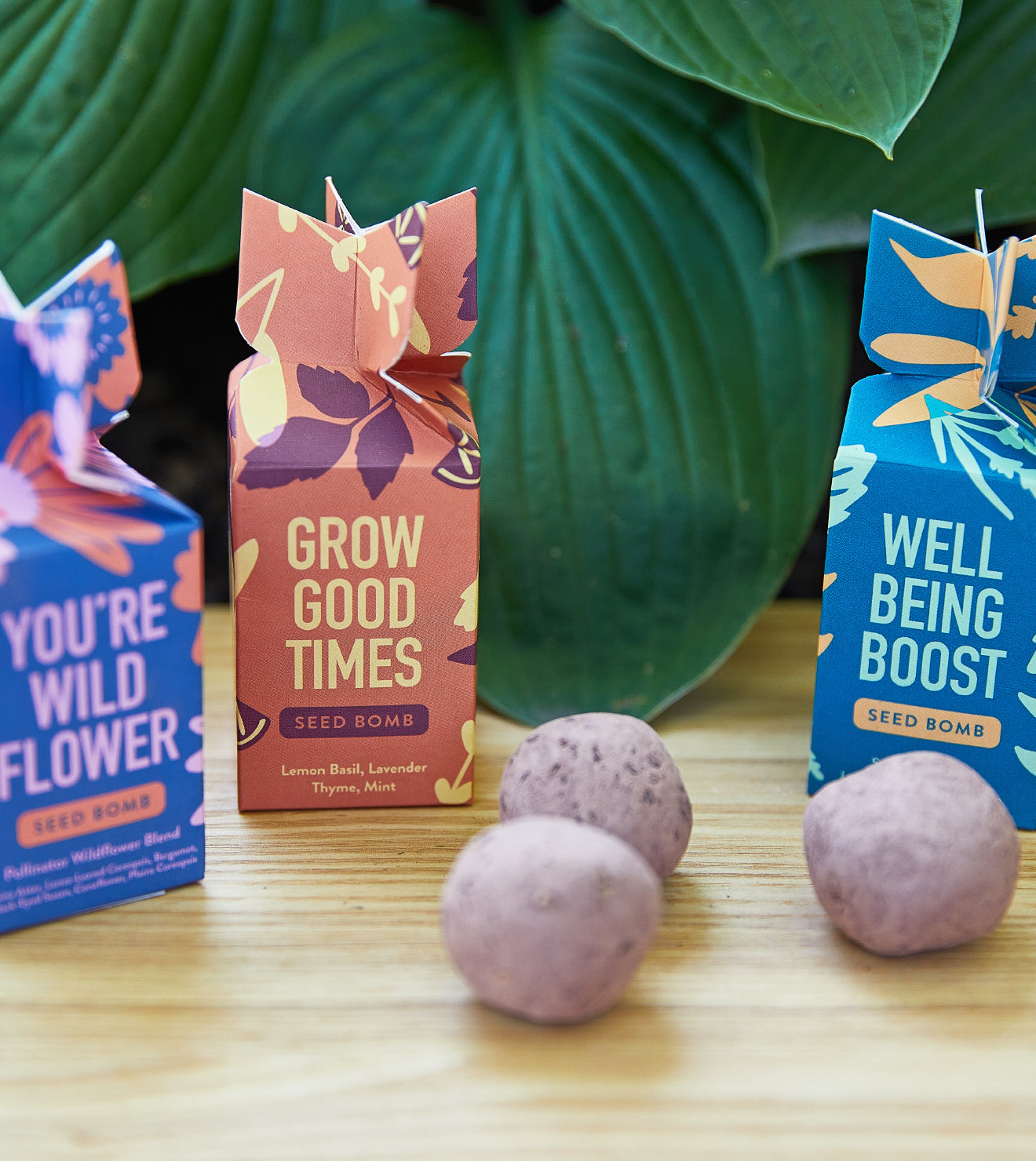 Colorful seed bombs with floral packaging, labeled "Grow Good Times" and "Well Being Boost," on a wooden surface with larg...