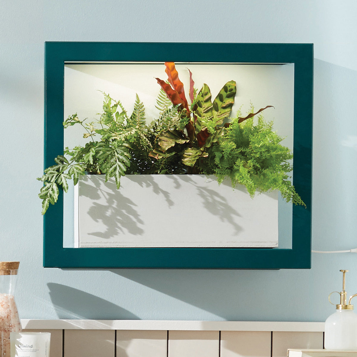 Wall-mounted indoor garden with lush green plants in a white planter, framed by a teal border.