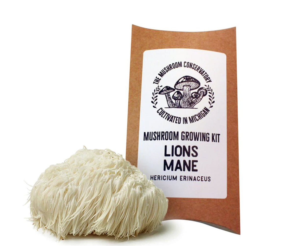 Lions Mane Gourmet Mushroom Growing Kit
