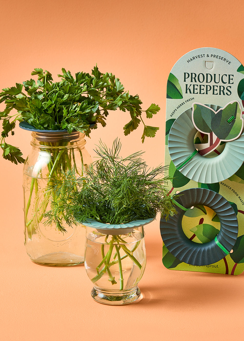 Two jars with fresh herbs—cilantro and dill—each topped with a green produce keeper, set against an orange background.