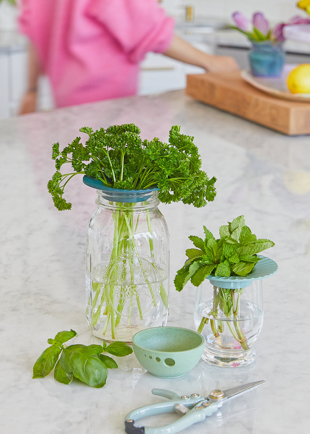 Glass jars with fresh herbs—parsley, mint, and basil—sitting in water, featuring green plant supports on a marble countertop.