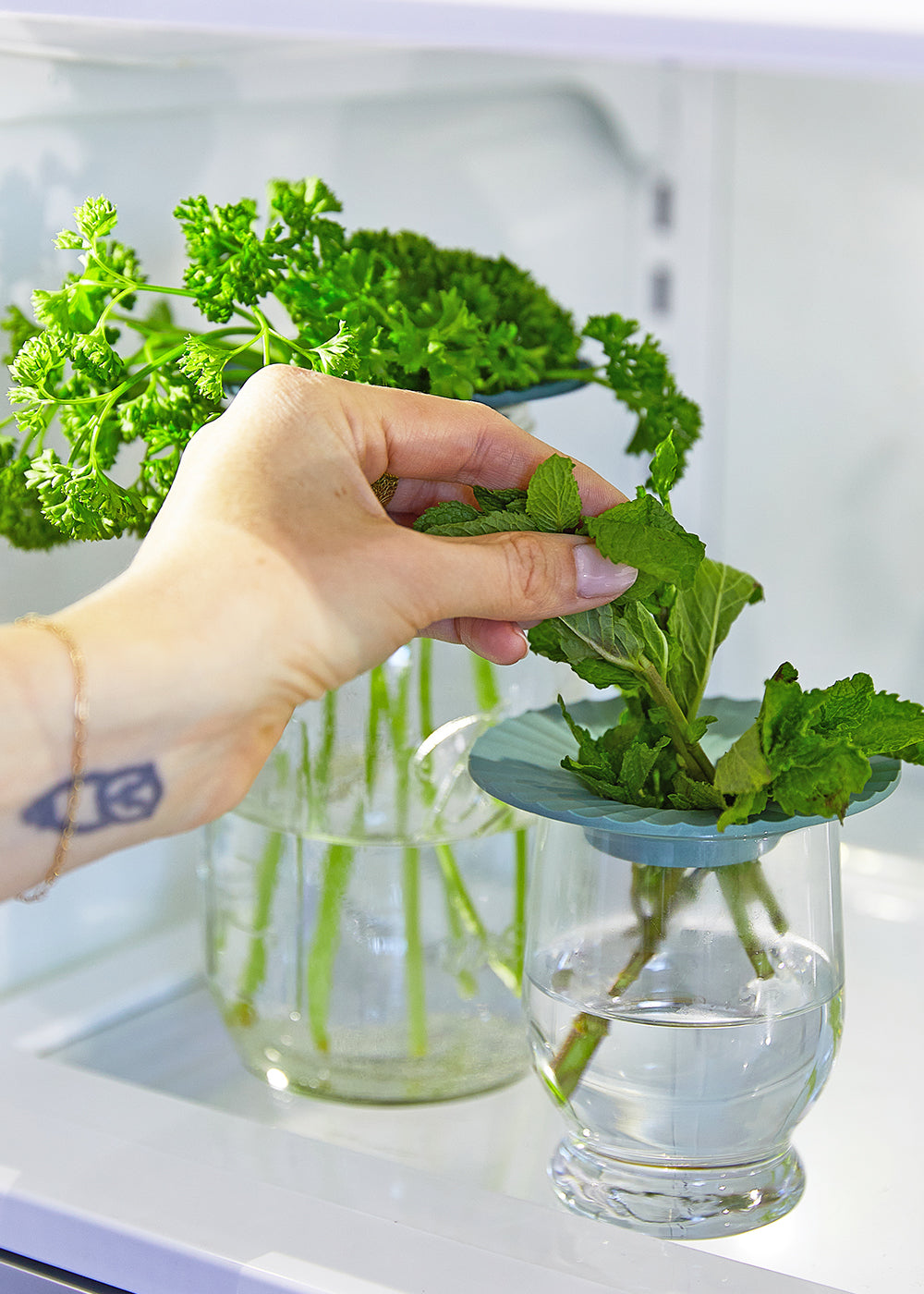 Hand placing fresh mint leaves into a clear glass with water, surrounded by vibrant parsley in jars, showcasing indoor her...