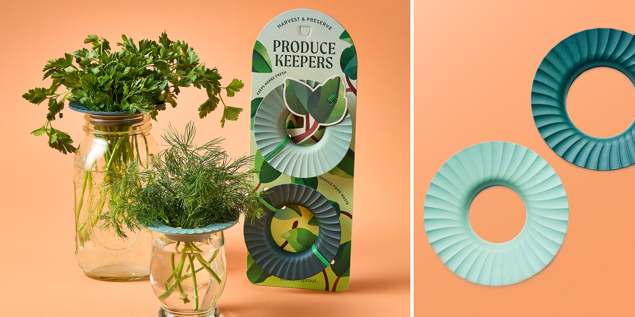 Two colorful produce keepers in teal and dark green, displayed with fresh herbs in jar vases against a peach background.